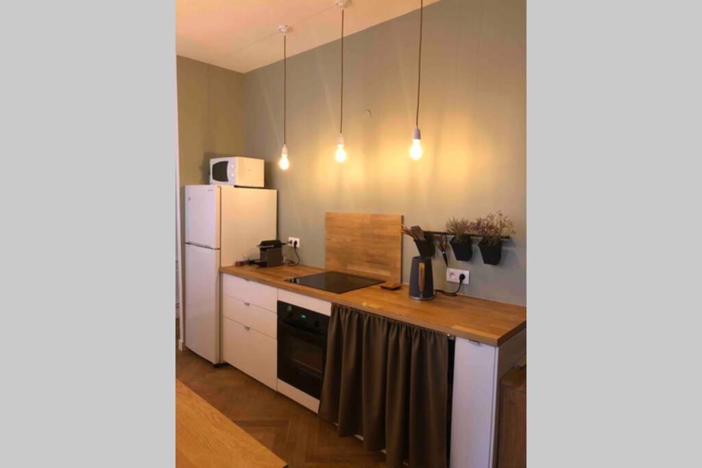 5 Min Place Stanislas. Appartement De Caractere Nancy Ngoại thất bức ảnh